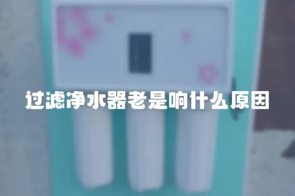 過濾凈水器老是響什么原因