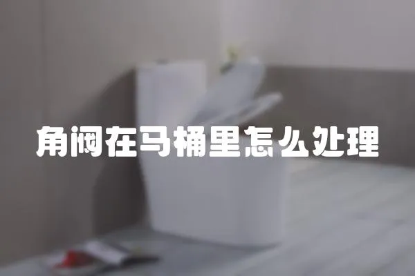 角閥在馬桶里怎么處理