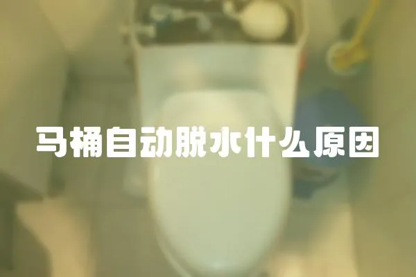 馬桶自動脫水什么原因