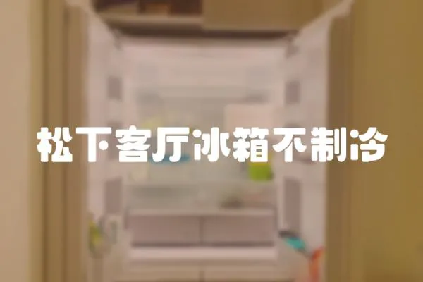 松下客廳冰箱不制冷