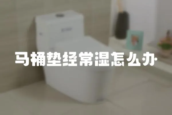 馬桶墊經常濕怎么辦