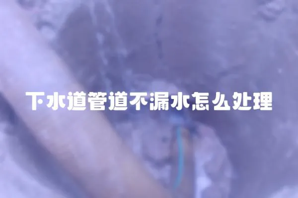 下水道管道不漏水怎么處理