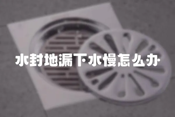 水封地漏下水慢怎么辦
