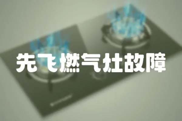 先飛燃?xì)庠罟收?></a></div>
                    </div>
                    <div   id=