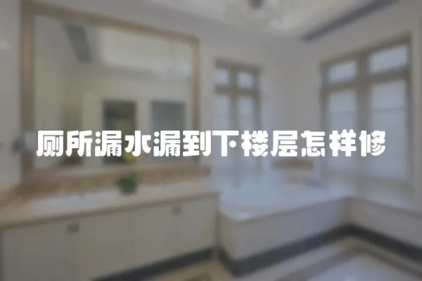 廁所漏水漏到下樓層怎樣修