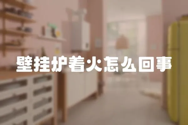 壁掛爐著火怎么回事