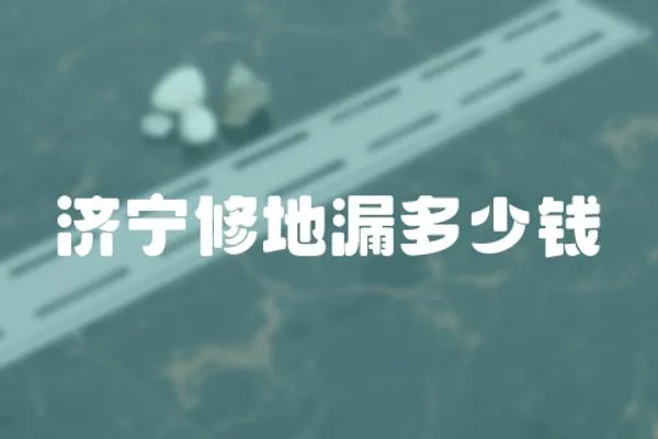 濟寧修地漏多少錢