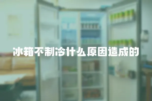 冰箱不制冷什么原因造成的