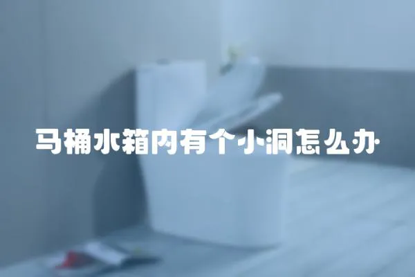 馬桶水箱內有個小洞怎么辦