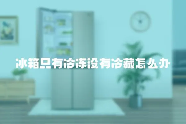 冰箱只有冷凍沒有冷藏怎么辦