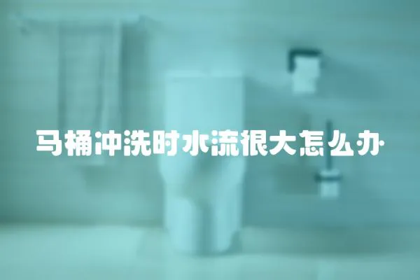 馬桶沖洗時水流很大怎么辦