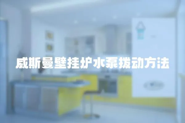 威斯曼壁掛爐水泵撥動方法