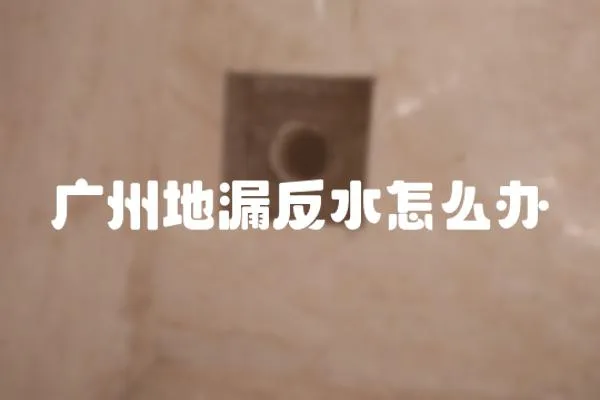 廣州地漏反水怎么辦