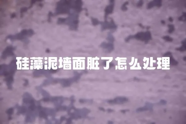 硅藻泥墻面臟了怎么處理
