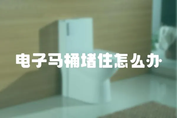 電子馬桶堵住怎么辦