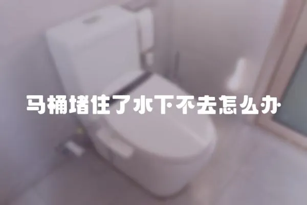 馬桶堵住了水下不去怎么辦