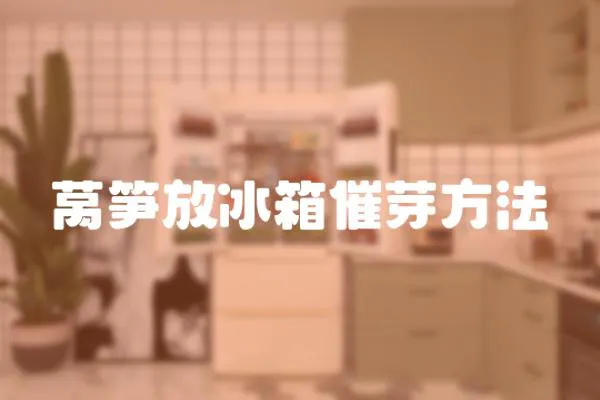 萵筍放冰箱催芽方法