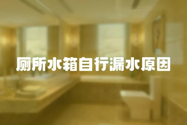 廁所水箱自行漏水原因