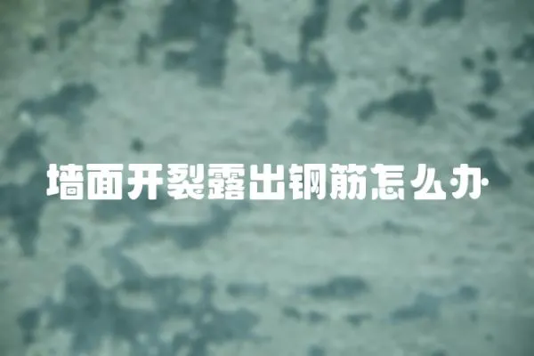 墻面開裂露出鋼筋怎么辦