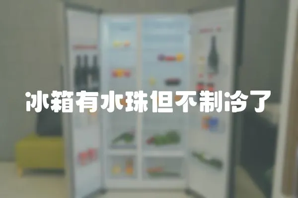 冰箱有水珠但不制冷了