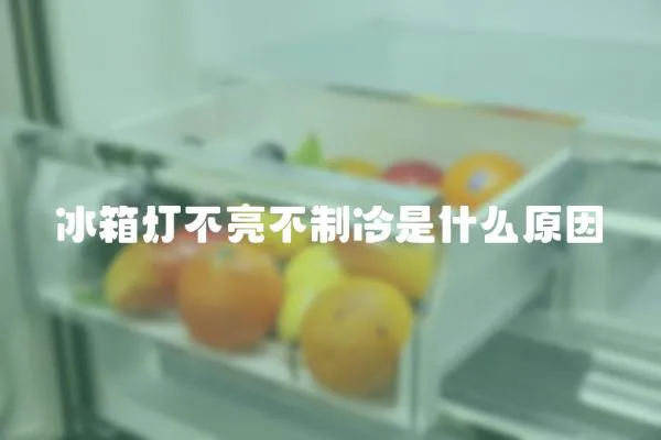 冰箱燈不亮不制冷是什么原因