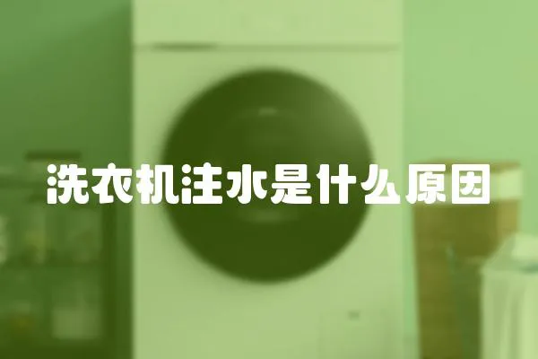 洗衣機注水是什么原因
