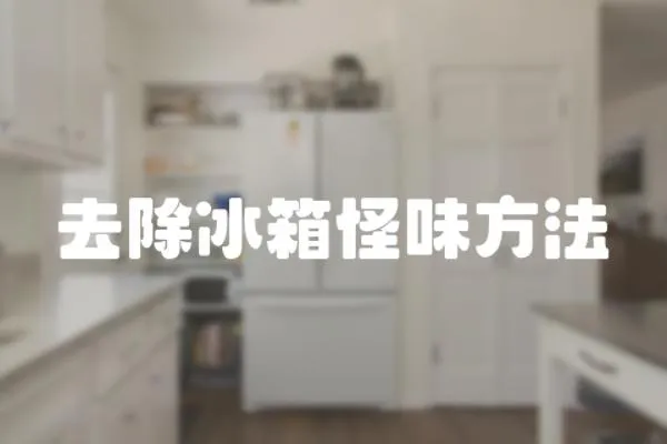 去除冰箱怪味方法