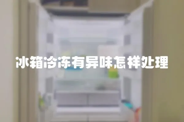 冰箱冷凍有異味怎樣處理
