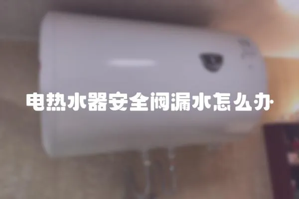電熱水器安全閥漏水怎么辦