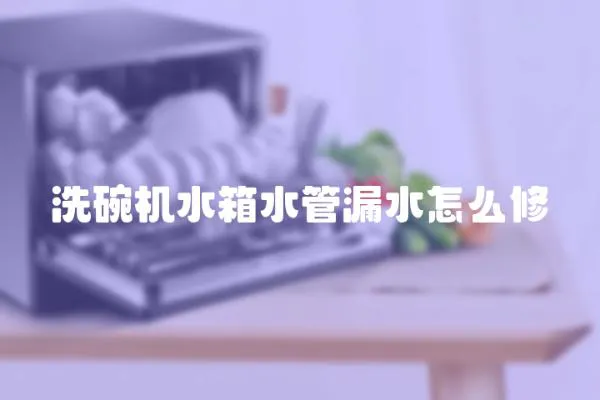 洗碗機(jī)水箱水管漏水怎么修