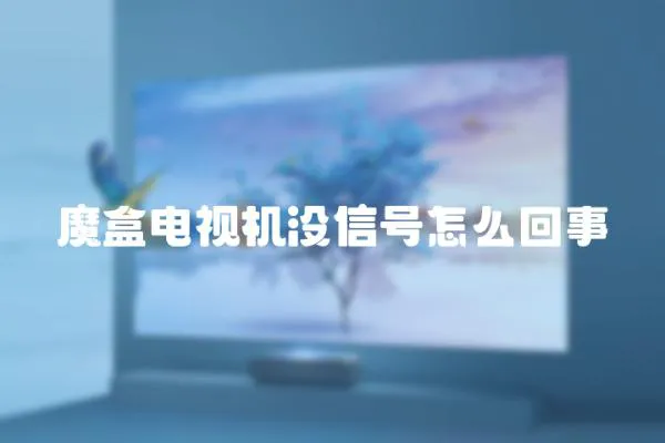 魔盒電視機沒信號怎么回事