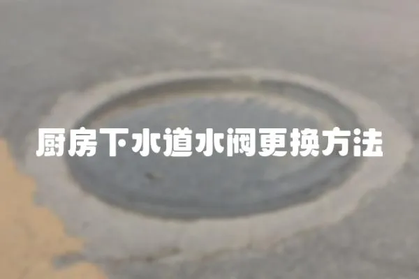 廚房下水道水閥更換方法