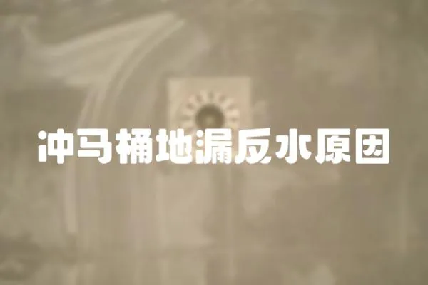 沖馬桶地漏反水原因