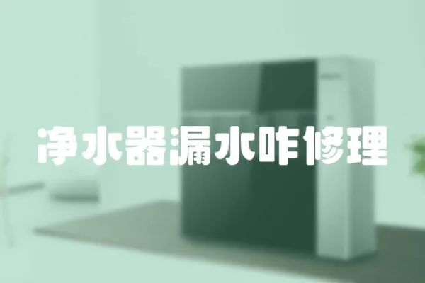 凈水器漏水咋修理