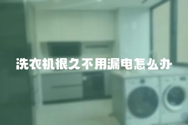 洗衣機很久不用漏電怎么辦