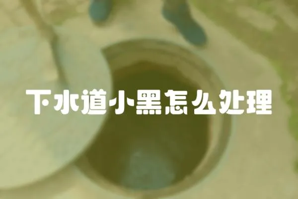 下水道小黑怎么處理