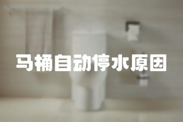 馬桶自動停水原因