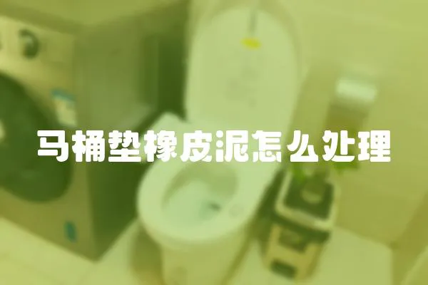 馬桶墊橡皮泥怎么處理