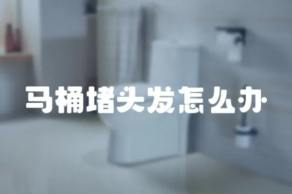 馬桶堵頭發怎么辦