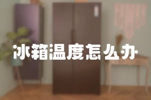 冰箱溫度怎么辦