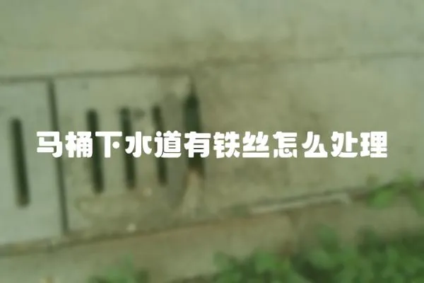 馬桶下水道有鐵絲怎么處理