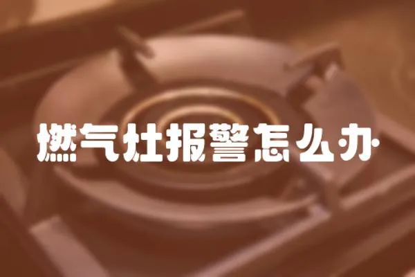 燃?xì)庠顖缶趺崔k