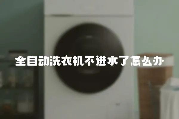 全自動(dòng)洗衣機(jī)不進(jìn)水了怎么辦