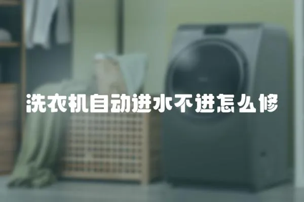 洗衣機自動進水不進怎么修