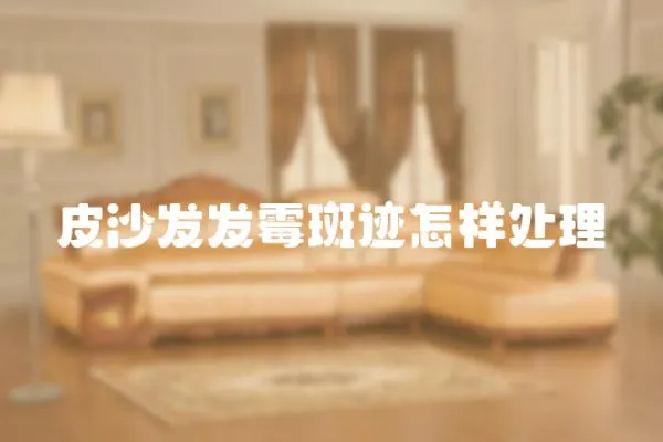 皮沙發發霉斑跡怎樣處理