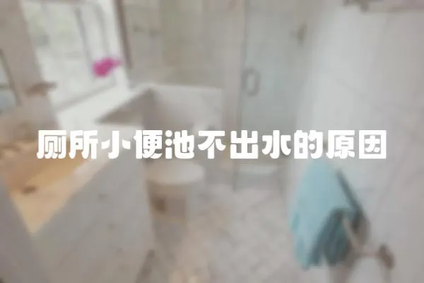廁所小便池不出水的原因