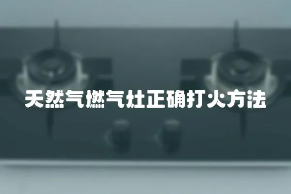 天然氣燃氣灶正確打火方法
