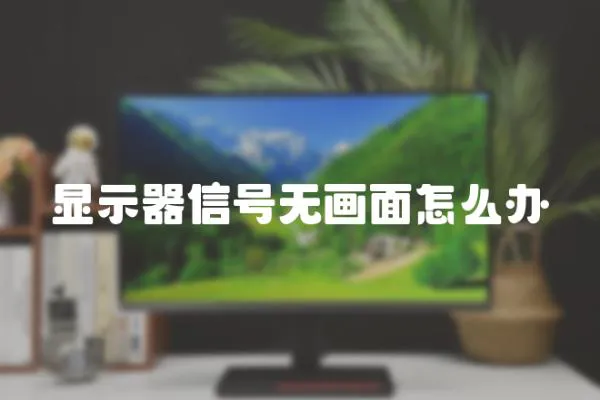 顯示器信號無畫面怎么辦