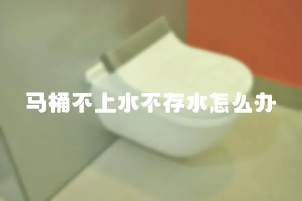 馬桶不上水不存水怎么辦