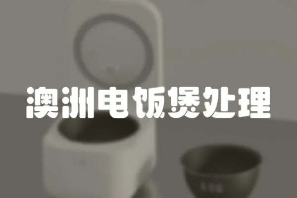 澳洲電飯煲處理